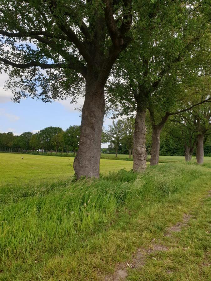 B&B Het Gelders Buitenleven Overasselt エクステリア 写真