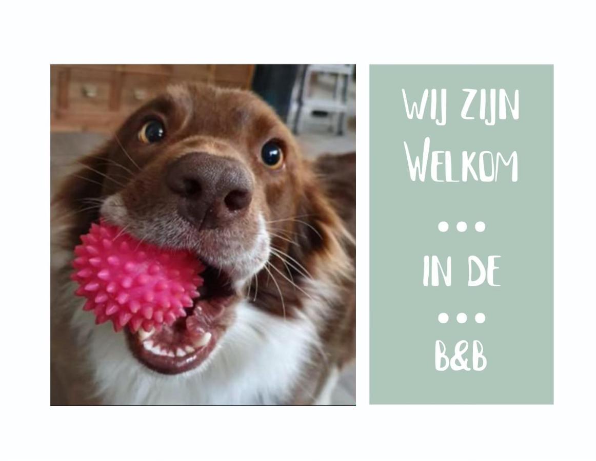 B&B Het Gelders Buitenleven Overasselt エクステリア 写真