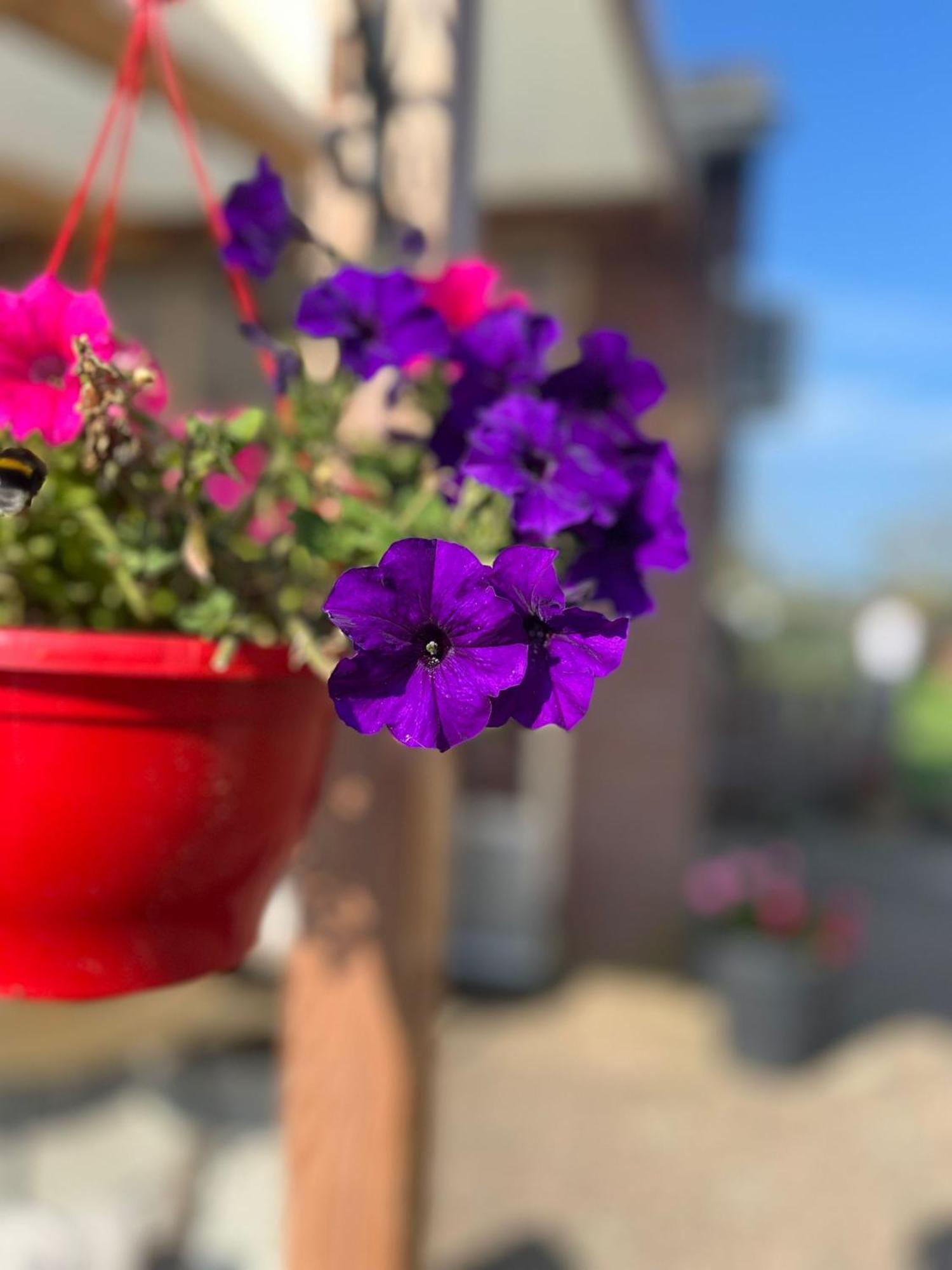 B&B Het Gelders Buitenleven Overasselt エクステリア 写真