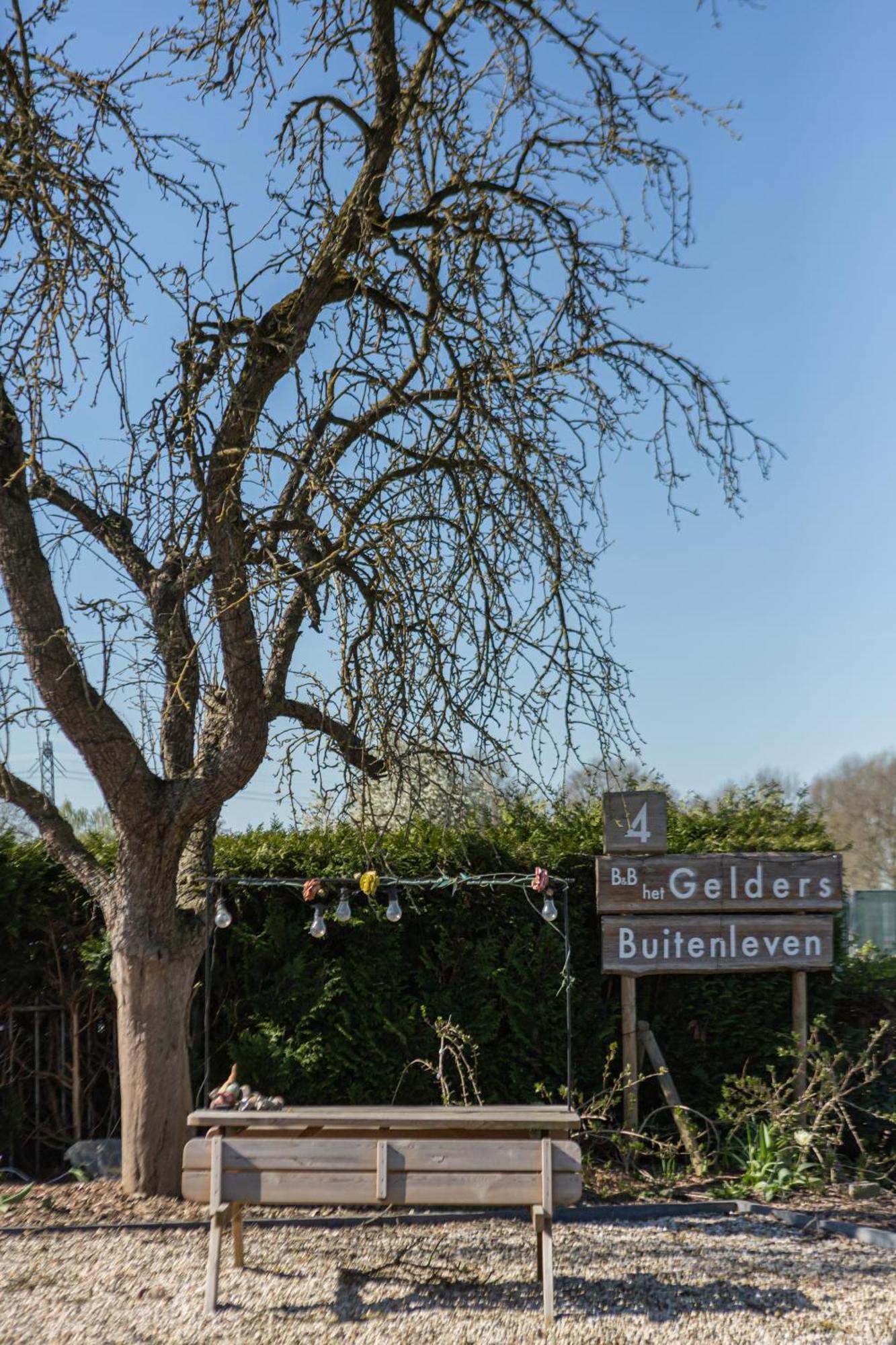 B&B Het Gelders Buitenleven Overasselt エクステリア 写真